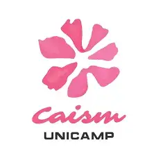 Logo CAISM UNICAMP — cliente da THE Montagens Industriais (hospitais, manutenção elétrica e infraestrutura predial hospitalar)