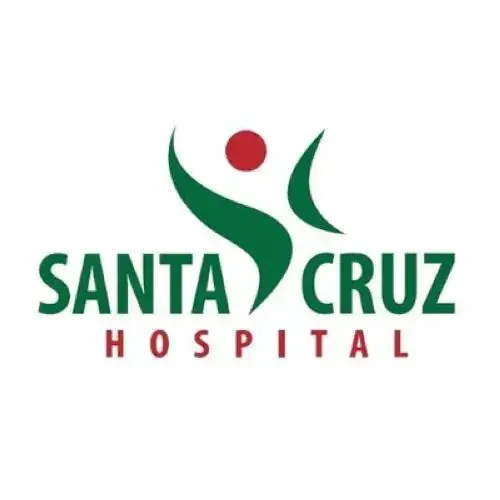 Logo Hospital Santa Cruz — cliente da THE Montagens Industriais (hospitais, instalações elétricas e manutenção predial)